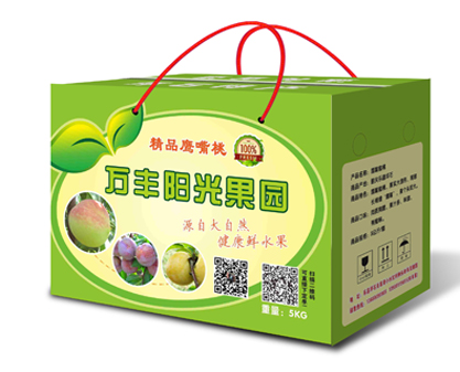 万丰阳光果园老坪石鲜果效果图（16-06-21定稿）.jpg
